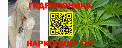 2c-b Краснознаменск