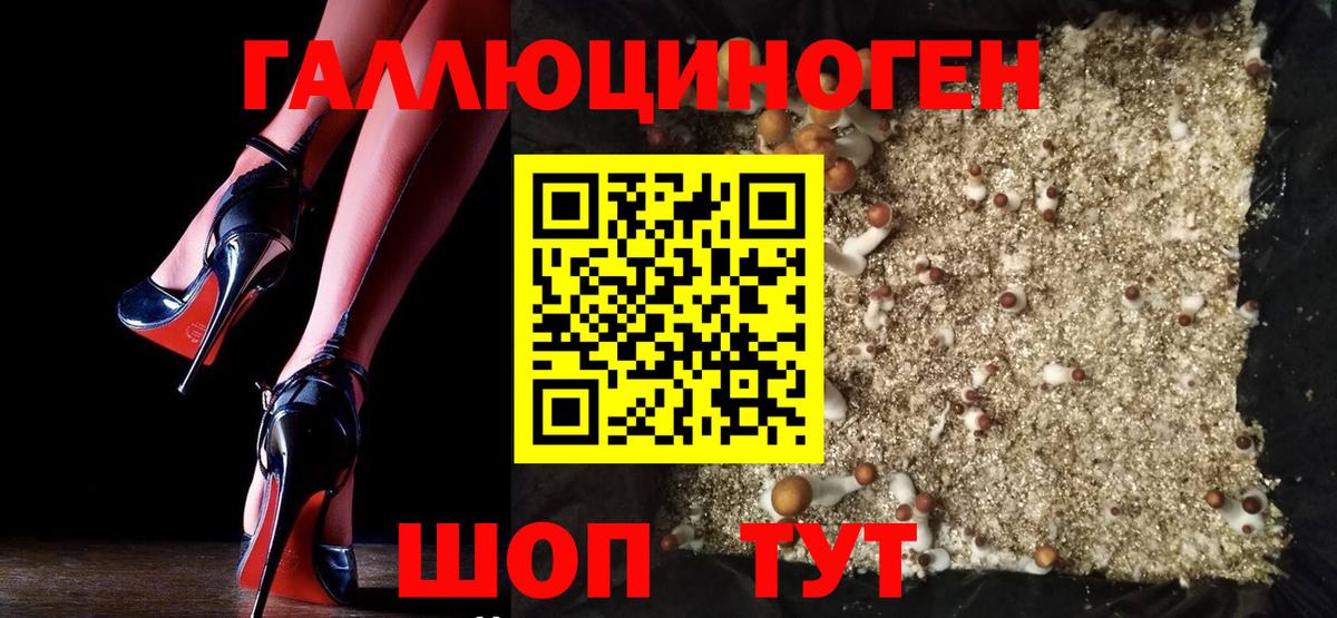 Великий Устюг  Псилоцибиновые грибы MAGIC MUSHROOMS  Вход с VPN 