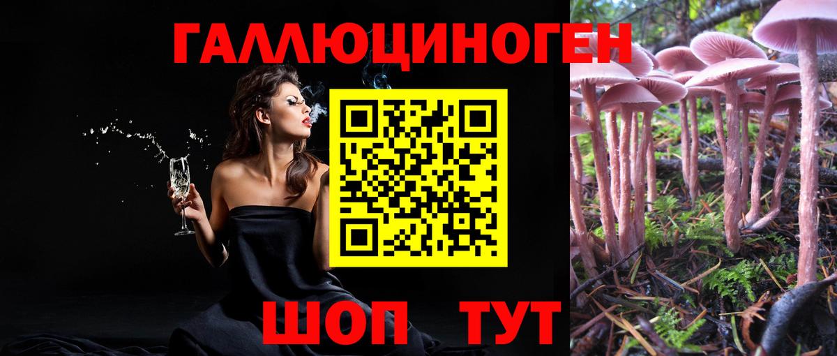 Псилоцибиновые грибы мицелий Великий Устюг